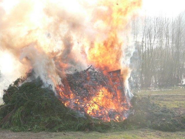 carnaval  24 mars 2013 (97).jpg